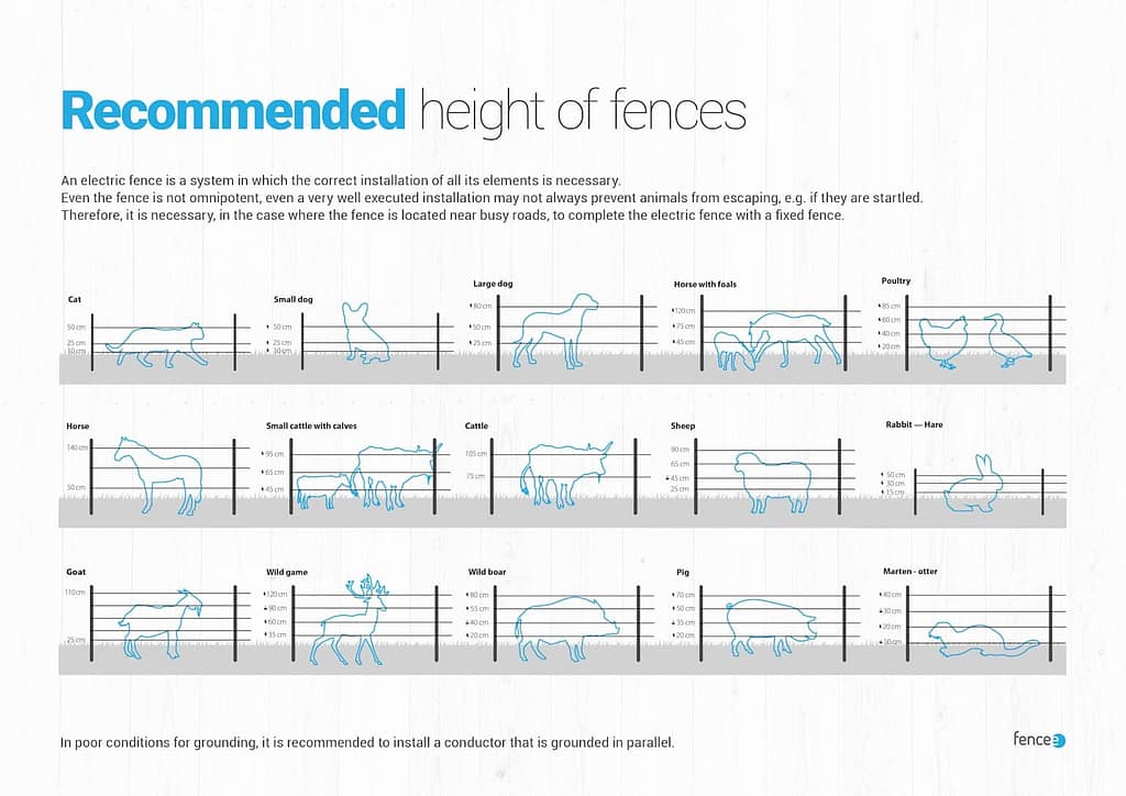 Electric fence wire height and installation diagram for pigs | What is the best fencing for pigs and hogs?
